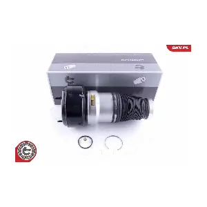 58SKV038 ESEN SKV