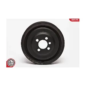 95SKV304 ESEN SKV