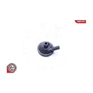 31SKV097 ESEN SKV