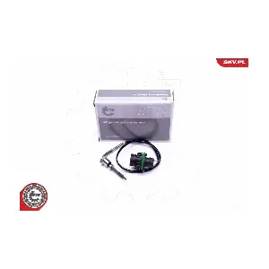 30SKV306 ESEN SKV