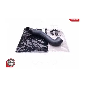 43SKV187 ESEN SKV