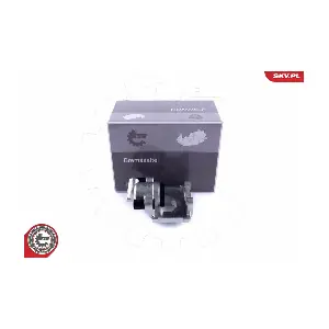 55SKV163 ESEN SKV