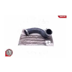 24SKV931 ESEN SKV