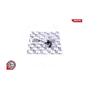 17SKV644 ESEN SKV