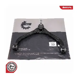 69SKV816 ESEN SKV