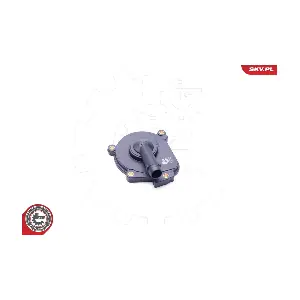 31SKV062 ESEN SKV