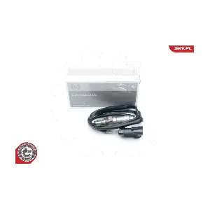 09SKV633 ESEN SKV