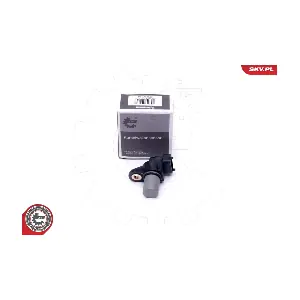 17SKV496 ESEN SKV
