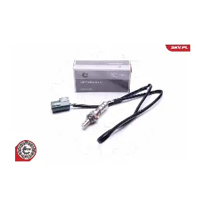 ESEN SKV 09SKV437