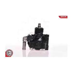 10SKV078 ESEN SKV