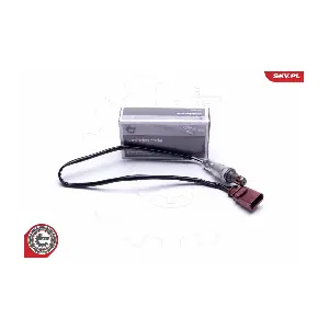 ESEN SKV 09SKV117