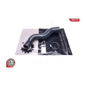 43SKV270 ESEN SKV