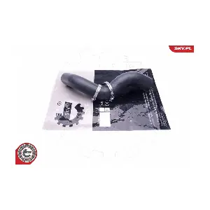 43SKV276 ESEN SKV