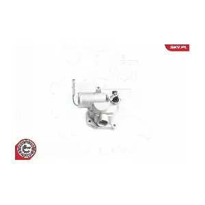 20SKV024 ESEN SKV