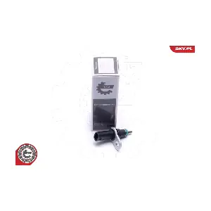 17SKV674 ESEN SKV