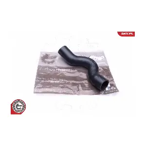 24SKV961 ESEN SKV