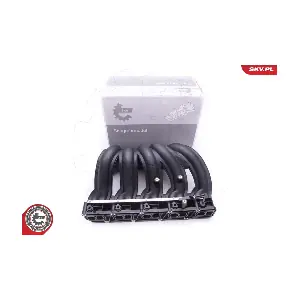 49SKV012 ESEN SKV