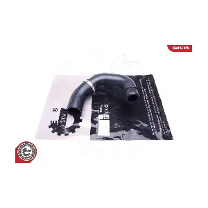 43SKV229 ESEN SKV