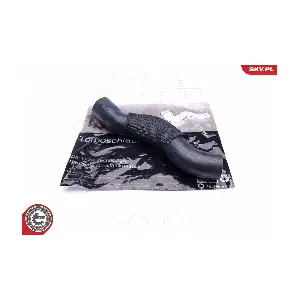 ESEN SKV 43SKV168