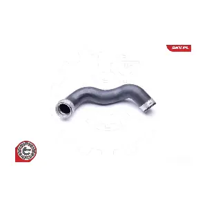 24SKV617 ESEN SKV