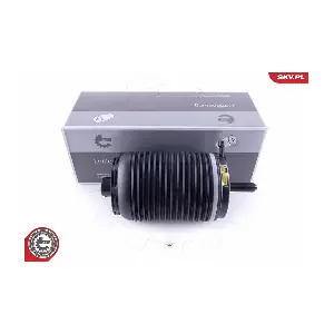 58SKV031 ESEN SKV