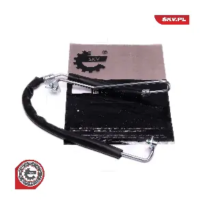 10SKV843 ESEN SKV