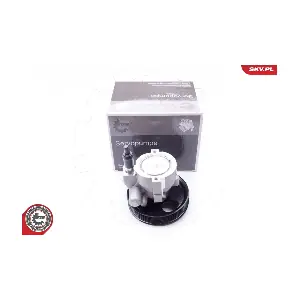 10SKV207 ESEN SKV