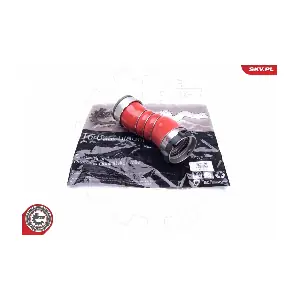 43SKV213 ESEN SKV