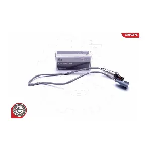 09SKV116 ESEN SKV