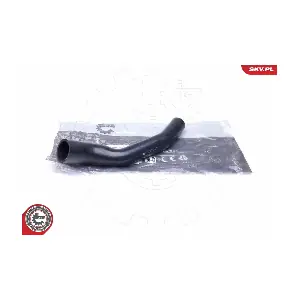 24SKV208 ESEN SKV