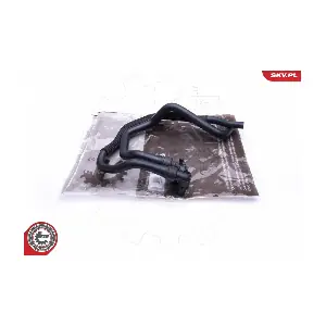43SKV805 ESEN SKV