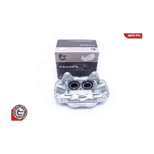 45SKV201 ESEN SKV