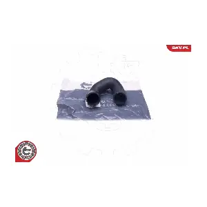 43SKV745 ESEN SKV