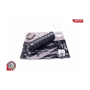 43SKV189 ESEN SKV