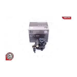 10SKV259 ESEN SKV