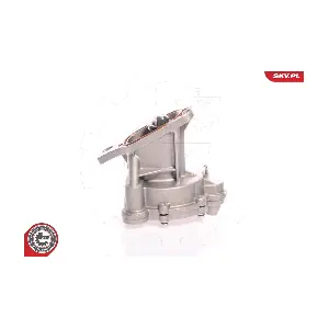 18SKV006 ESEN SKV