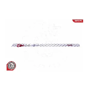 ESEN SKV 96SKV217