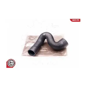 24SKV162 ESEN SKV
