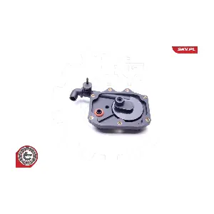 31SKV068 ESEN SKV