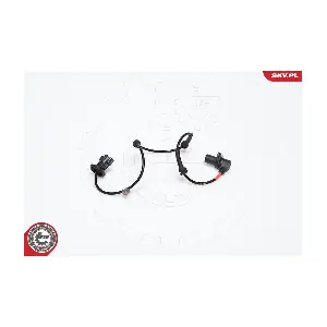 06SKV169 ESEN SKV