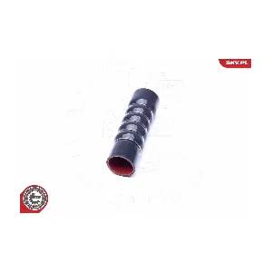 24SKV978 ESEN SKV