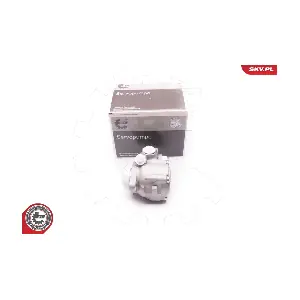 1SKV0006 ESEN SKV