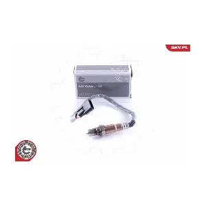 09SKV873 ESEN SKV