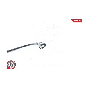 06SKV309 ESEN SKV