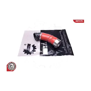 43SKV247 ESEN SKV
