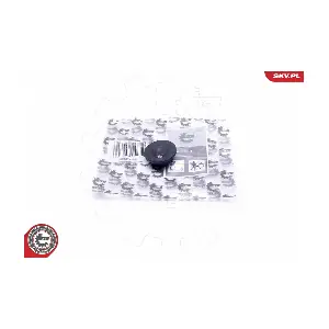 96SKV222 ESEN SKV