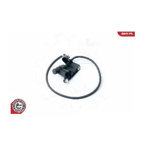 17SKV323 ESEN SKV