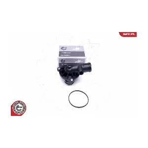 20SKV107 ESEN SKV