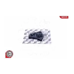 96SKV215 ESEN SKV
