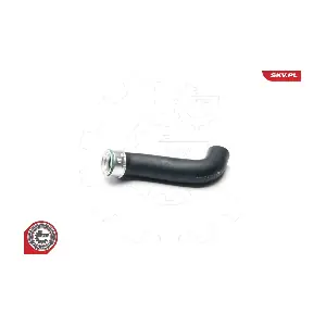 24SKV007 ESEN SKV